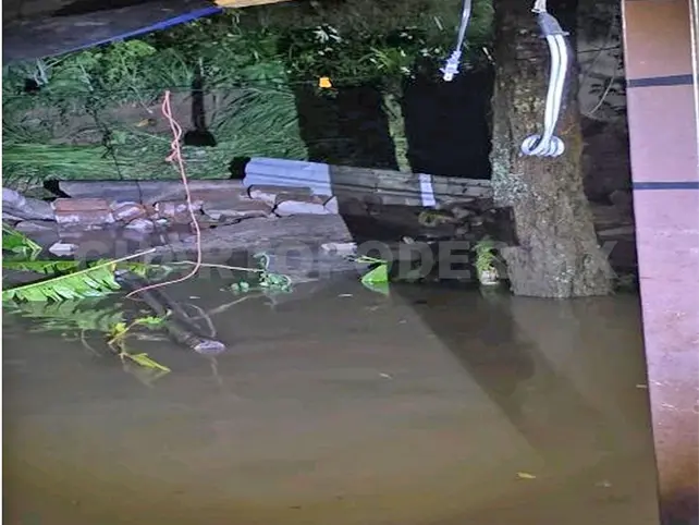 Primeras lluvias dejan da&ntilde;os en municipios