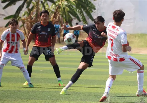 Halcones Negros y Lechuzas chocan en cuartos