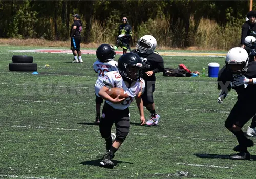 OEFA Chiapas defini&oacute; a sus finalistas infantiles