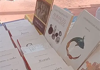 Piden respetar Ley del precio &uacute;nico del libro
