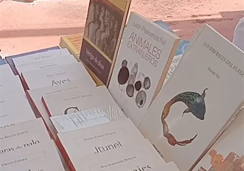 Piden respetar Ley del precio &uacute;nico del libro