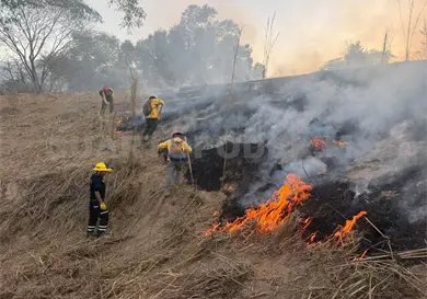 Mano dura contra quien provoque incendios