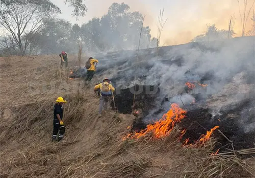 Mano dura contra quien provoque incendios