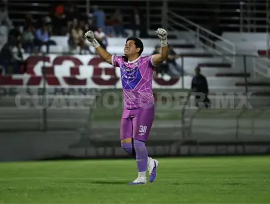 Lechuzas toma ventaja rumbo a semifinales