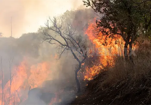Estudian uso del fuego en cerro Mactumactz&aacute;