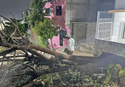 Afectan lluvias zonas de la ciudad