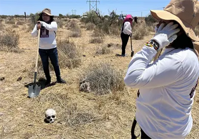 Urgen a M&eacute;xico a aceptar asistencia internacional