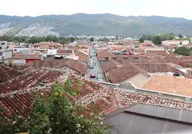 Crecimiento desordenado afecta a SCLC