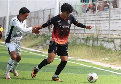 Lechuzas con vuelo imparable a semifinales