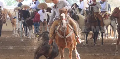Hoy arranca el Campeonato Estatal Charro