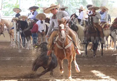 Hoy arranca el Campeonato Estatal Charro