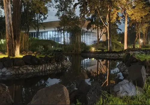 Anuncian Festival de Artes y Naturaleza