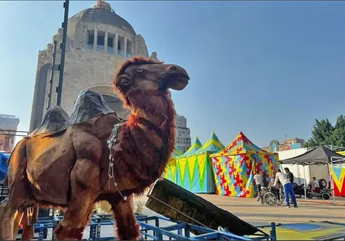 El festival cultura sin fronteras