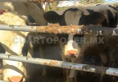 Urgen m&aacute;s rastros en el estado
