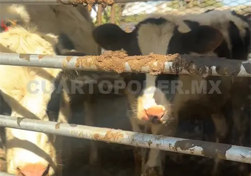 Urgen m&aacute;s rastros en el estado