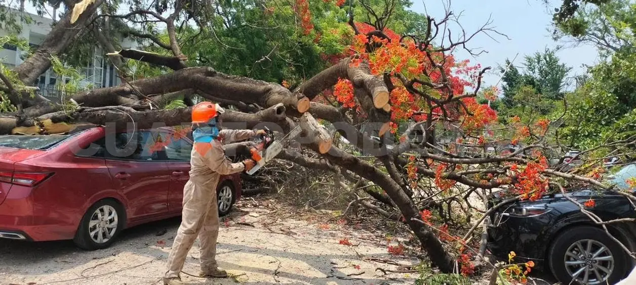 Las ráfagas de viento se registraron en varias zonas de Chiapas. Cortesía