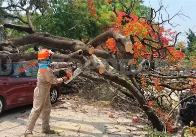 Fuertes r&aacute;fagas de viento impactan varias zonas