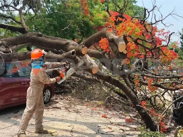 Fuertes r&aacute;fagas de viento impactan varias zonas