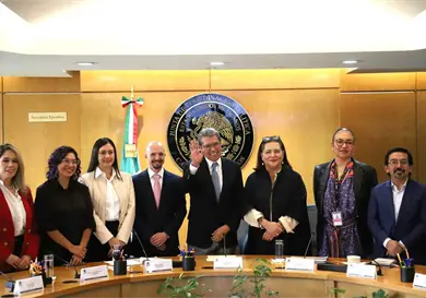 Aplazar elecci&oacute;n judicial ahorrar&iacute;a 2 mil mdp: Taddei