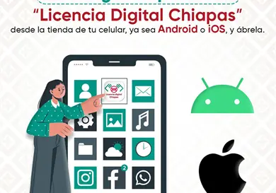Licencia de conducir digital es una realidad