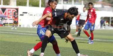 Lechuzas remonta y acaricia el ascenso