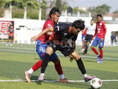 Lechuzas remonta y acaricia el ascenso
