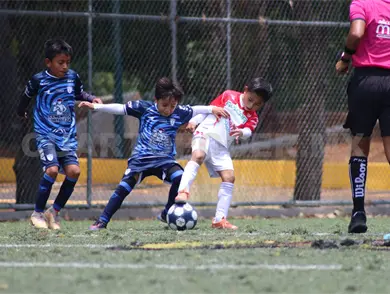 Tuzos Jobo impone condiciones Tuzos Jobo impone condiciones