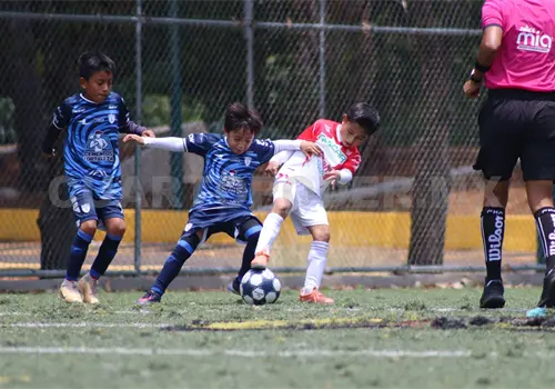 Tuzos Jobo impone condiciones Tuzos Jobo impone condiciones