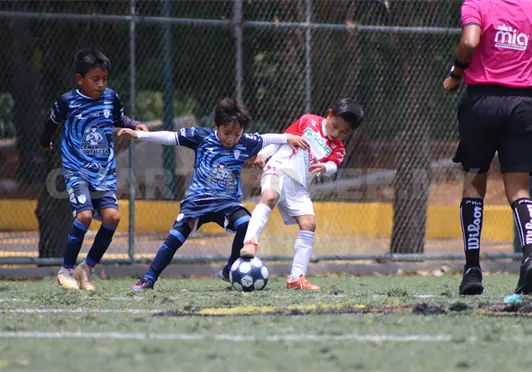 Tuzos Jobo impone condiciones