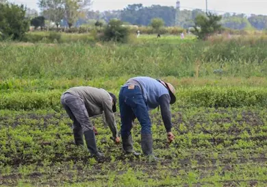 Invertir&aacute;n 17 mdp para productores de Zacatecas