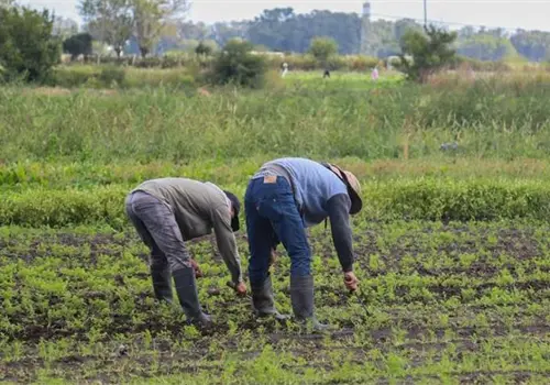 Invertir&aacute;n 17 mdp para productores de Zacatecas