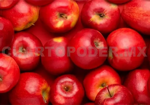 Registra Tuxtla el precio m&aacute;s alto de la manzana