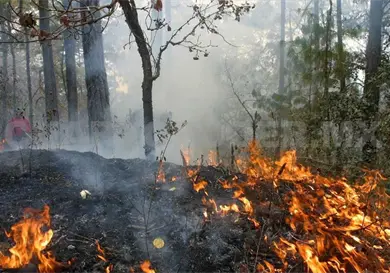 Chiapas en color naranja  por cantidad de incendios