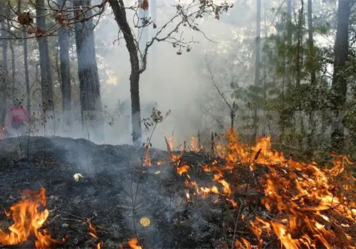 Chiapas en color naranja  por cantidad de incendios
