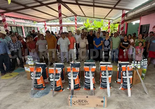 Entregan semilla mejorada a productores