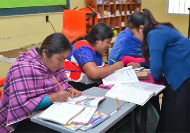 Reconocen avances del pa&iacute;s en alfabetizaci&oacute;n