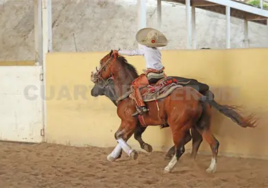 Rancho El Refugio AFA domina la fase