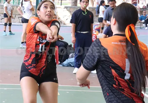 Lechuzas y Adlers brillan en J5 de la Liga OMA