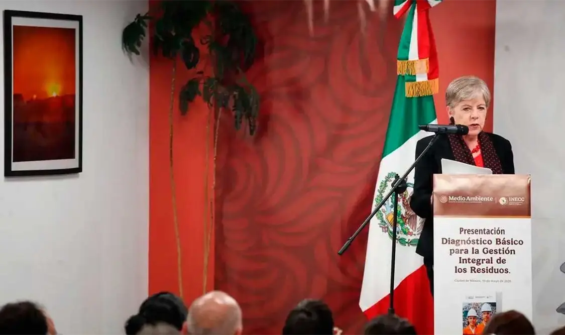 El proyecto fue anunciado desde 2024, pero la manifestación de impacto ambiental fue presentada en 2025: Bárcena. Cortesía