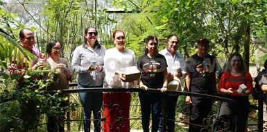 Liberan ejemplares de mariposas