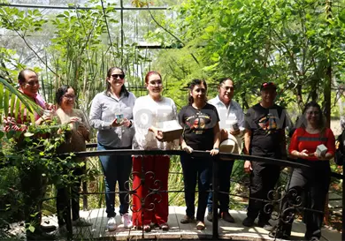 Liberan ejemplares de mariposas