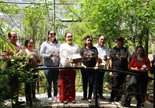 Liberan ejemplares de mariposas
