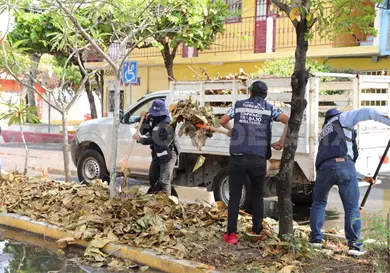 Fortalecen entornos limpios con Chuleando Tuxtla Fortalecen entornos limpios con Chuleando Tuxtla