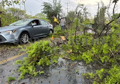 Tormenta deja daños en diversos barrios Tormenta deja daños en diversos barrios