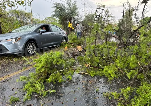 Tormenta deja da&ntilde;os en diversos barrios