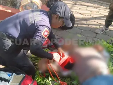 Queda malherido al caer mientras podaba un árbol Queda malherido al caer mientras podaba un árbol