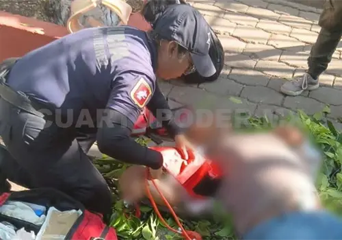 Queda malherido al caer mientras podaba un &aacute;rbol