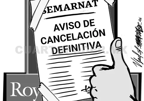 Sostenibilidad Sostenibilidad