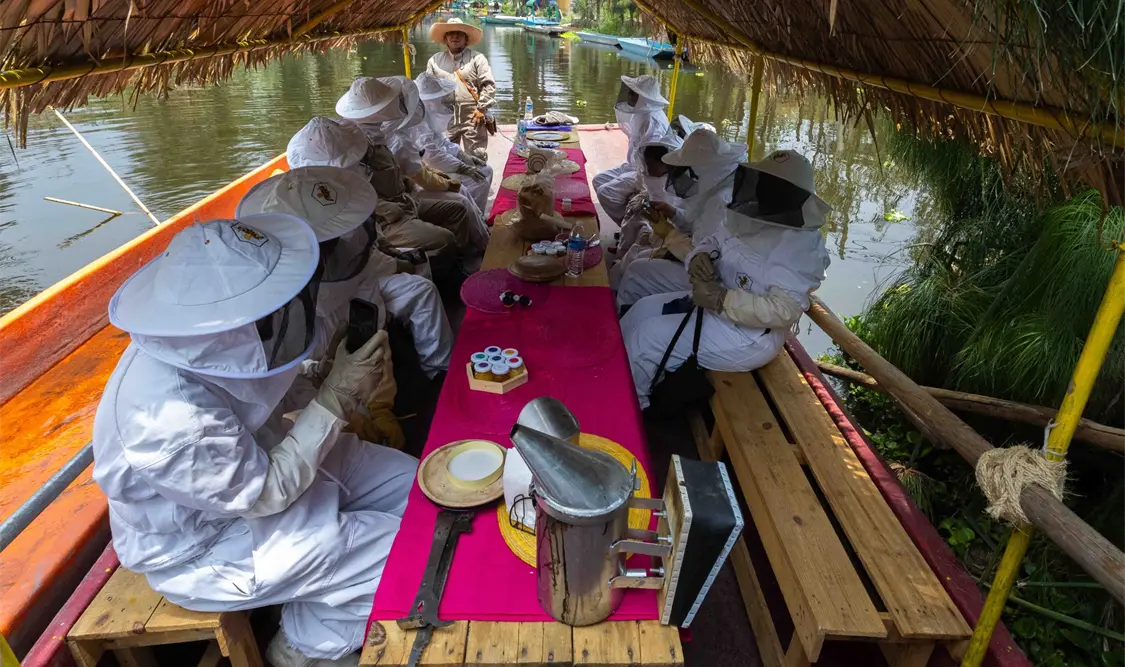 En los canales de Xochimilco, entre trajineras, un grupo de apicultores busca mantener vivo el oficio. El Universal