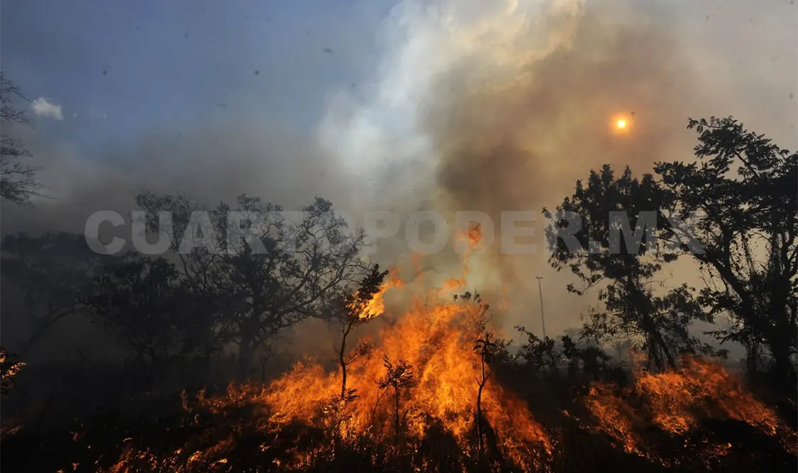 Las quemas agrícolas e incendios forestales contribuyen a la acumulación de humo sobre el valle de Tuxtla. CP
